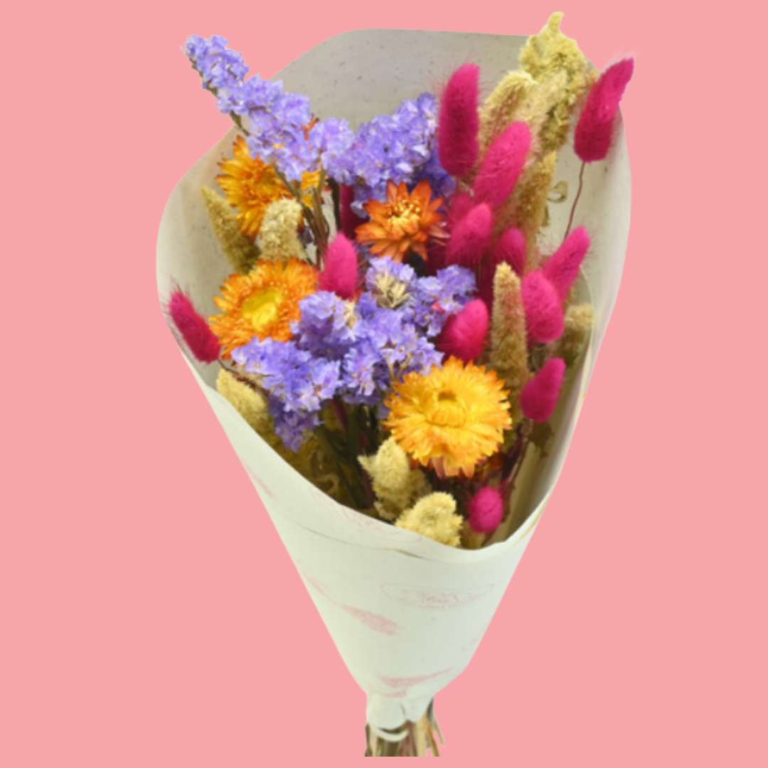 Lula Dried Flower Bunch 50cm