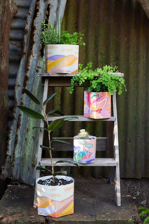 Pop Up Pots - Sow n Sow