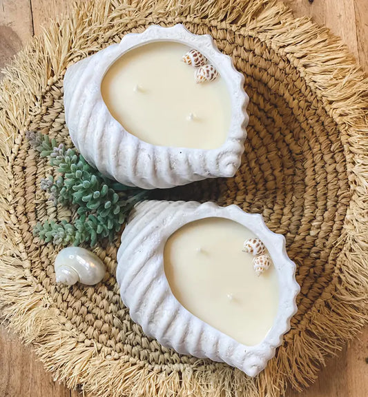 Conch Shell Candle - Shorelines Collection